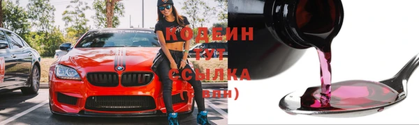 крисы Верхний Тагил