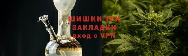 крисы Верхний Тагил