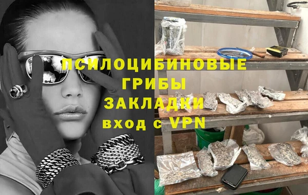 крисы Верхний Тагил