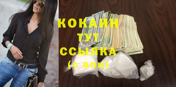 крисы Верхний Тагил