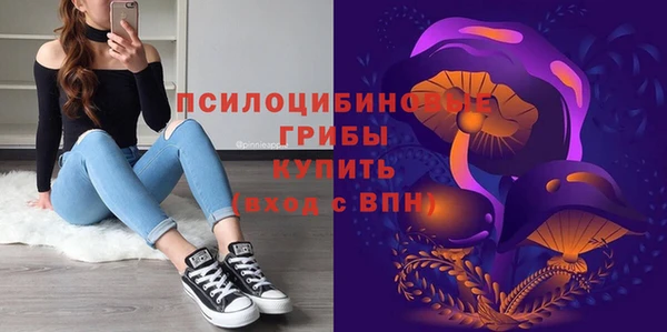 прущая мука Верея